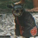 ⛤ᴇsᴄᴏʟᴀ ᴅᴇ ᴏᴛᴀᴋᴜs⛤