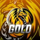RECRUTAMENTO GOLD GG