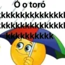 FIGURINHAS E AMIZADES