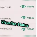 Amizades 🔄 Views status