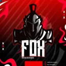 FOX SEGUIDORES🇧🇷