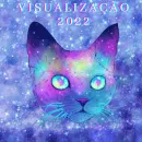 VISUALIZAÇÃO NOS STATUS 2022