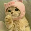 ΔŁ€ΔŦØŘIØŞ