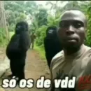 🄰🄼🄸🅉🄰🄳🄴 🄰 🄼🄸🄻 🄶🅁🄰🅄