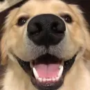 🧚‍♂️Mundo paralelo 🌈