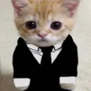 ȻĦȺŦ ĐɆ ȺNƗMɆS Ɇ ɈØǤØS