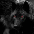 ͲᎻᎬ ᏴᏆᏀ ᏔϴᏞҒ ♾️