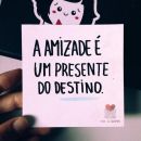 Hospício da Amzd🥰