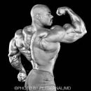 bodybuilder Brasil 🇧🇷