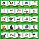 Grupo da rifa da Brenda