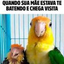 😏AMIZADE É MUITA ZOEIRA!