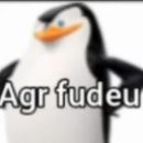 ℂ𝕠𝕟𝕧𝕖𝕣𝕤𝕒𝕤 𝕖 𝔽𝕚𝕘𝕦𝕣𝕚𝕟𝕙𝕒𝕤 | 𝟚.𝟘 𖦒