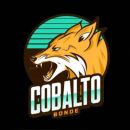 recrutamento cobalto