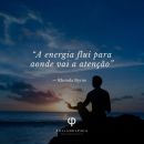 Biokinesis e Lei da Atração🌱💵