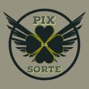 Pix da sorte🍀☘️