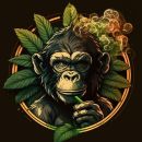 MONKEYS APOSTADOS 🇪🇬💸