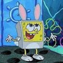 🫧⃟   𝑭𝑬𝑵𝑫𝑨 𝑫𝑶 𝑩𝑰𝑲𝑰𝑵𝑰  ⃟🫧