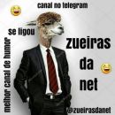 Canais e Grupos Telegram - Virou Meme Virou Meme: Canal de memes e vídeos  engraçados. #CANAL #Humor t.me/VirouMeme