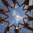 Amizades Verdadeiras