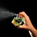 GANHE DINHEIRO COM VENDA DE PERFUMES