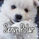 Sever polar 💠