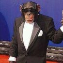 🍌𝙂𝙍𝙐𝙋𝙊 𝙉𝘼 𝘿𝙀𝙎𝘾𝙍𝙄𝘾𝘼𝙊🍌