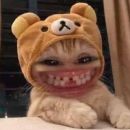 ꪰꪰ×᷼×•°•Os DivэЯgэИŦэs •°•×͜×ﾠ