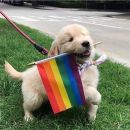 🏳️‍🌈 Amizades LGBT 🏳️‍🌈