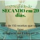 🥙VIP #3 PROJ. 29 DIAS