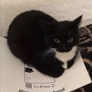 Amantes da demência😋