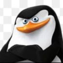 ꧁༺ȶʀօքǟɦ ɖǟ ʐʊɛʀǟ༻🤡