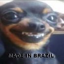 𝐌𝐀𝐃𝐄 𝐈𝐍 𝐁𝐑𝐀𝐙𝐈𝐋