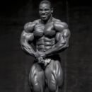 🔱 The Gym Legion 🔱