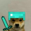 a m i z a d e s