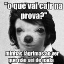 Zuando Sem Parar