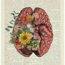 Ciências Naturais e Exatas 🦤🌱