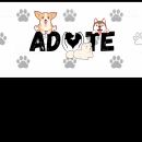 adote
