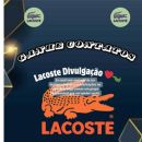 AMIZADES E CONTATINHOS