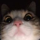 Amigos & alguma coisa ai