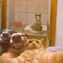 BEST FRIENDS 😍🫶