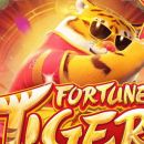 SLOT DA SORTE TIGRE 🔥😍💰