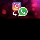 Whatsapp - Instagram
