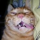 Amigos e alguma coisa 2