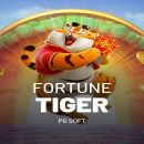 HORÁRIOS DO FORTUNE TIGER 🐯🎰