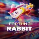 HORÁRIOS DO FORTUNE RABBIT 🐰🎰