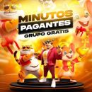 🏆 REI DO TIGRE 🏆