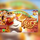FORTUNE TIGER 🔥
