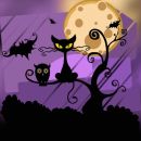 🌙 Achadinhos da SHOPPEE