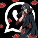 Toca do anime