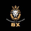 BX - Seguidores e Curtidas